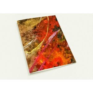 Set mit 10 Grußkarten (EU & Rest der Welt)